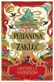 Plątanina zaklęć - tantis.pl