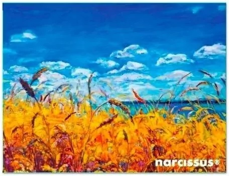 Teczka kopertowa PP A6 Niebo - tantis.pl