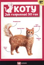 Koty. Jak rozpoznać 50 ras. Fakt encyklopedia 1/2016