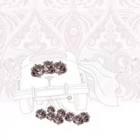 Karnet Swarovski kwadrat CL0115 Ślub samochód - tantis.pl