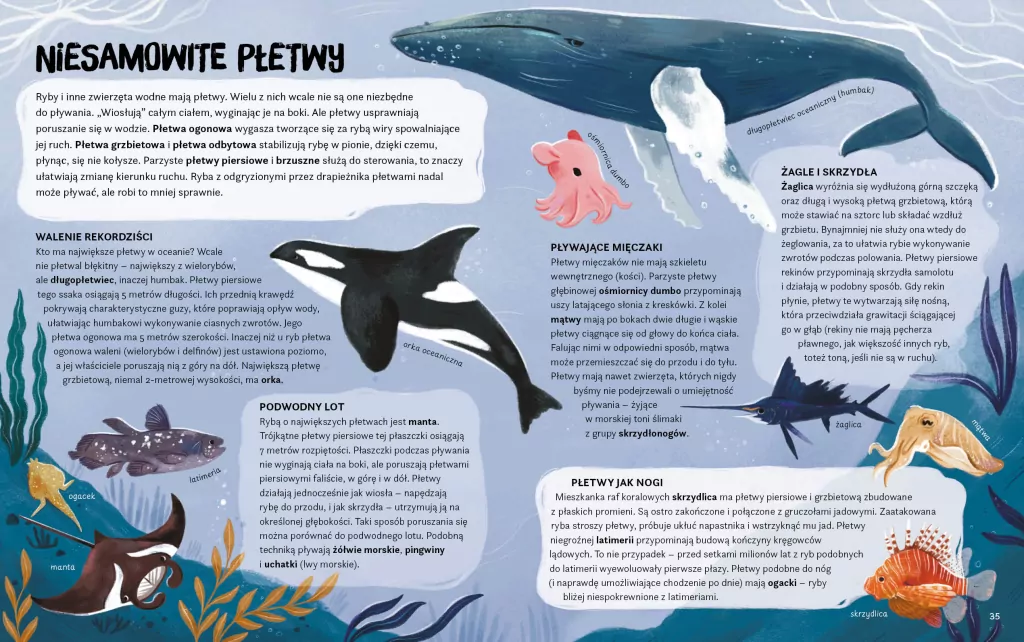 Zwierzęta mają supermoce - tantis.pl
