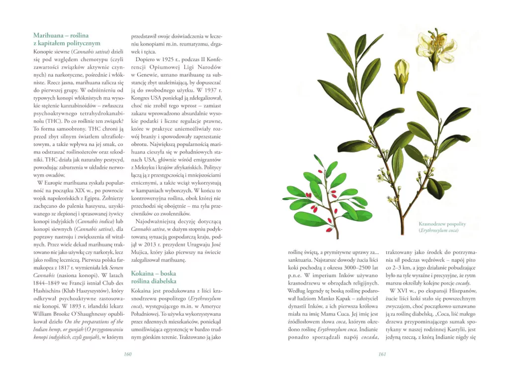 Tajemnicze życie roślin. Fascynujące sekrety i mechanizmy natury - tantis.pl