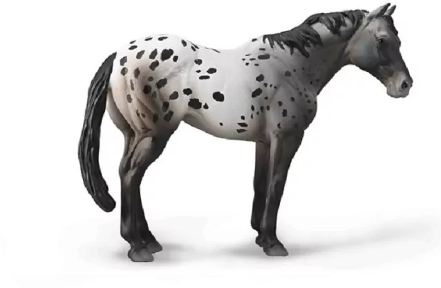 Niebieski Deresz Appaloosa - tantis.pl