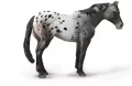 Niebieski Deresz Appaloosa - tantis.pl