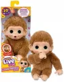 Little Live Pets - Mini Małpka Pepi Peach - tantis.pl