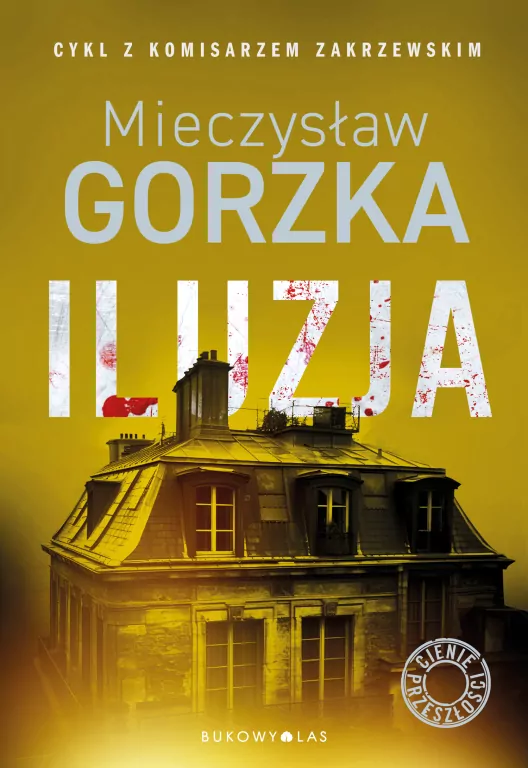 Iluzja. Cienie przeszłości. Tom 2 - tantis.pl