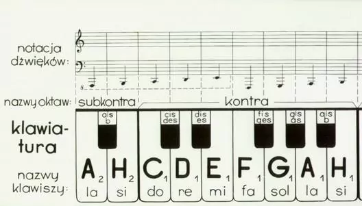 Klawiatura - tantis.pl