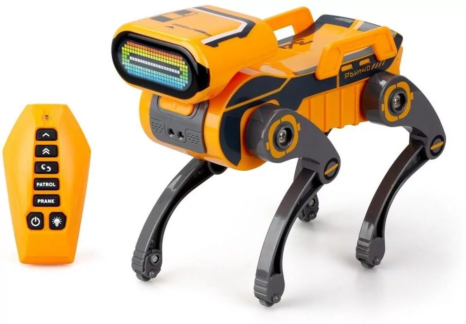 Robo Express pomarańczowy - tantis.pl