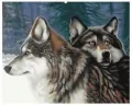 Diamentowa mozaika. Dwa wilki w zimowym lesie - tantis.pl