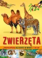 Zwierzęta. Encyklopedia dla dzieci w wieku 7 - 10 lat - tantis.pl