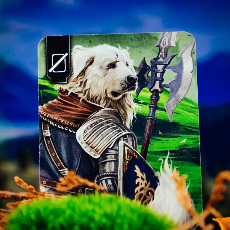 Spór o bór. Gra karciana. MUDUKO - tantis.pl