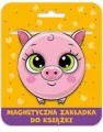 Zakładka magnetyczna Kulka Świnka - tantis.pl