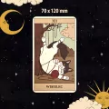 Tarot: Koty rządzą światem. Karty + przewodnik - tantis.pl