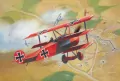 Samolot. Fokker Dr. 1 Triplane - tantis.pl