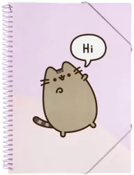 Skoroszyt A4 z gumką Pusheen CFA405 30 kartek