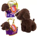 Piesek pudel w torbie - tantis.pl