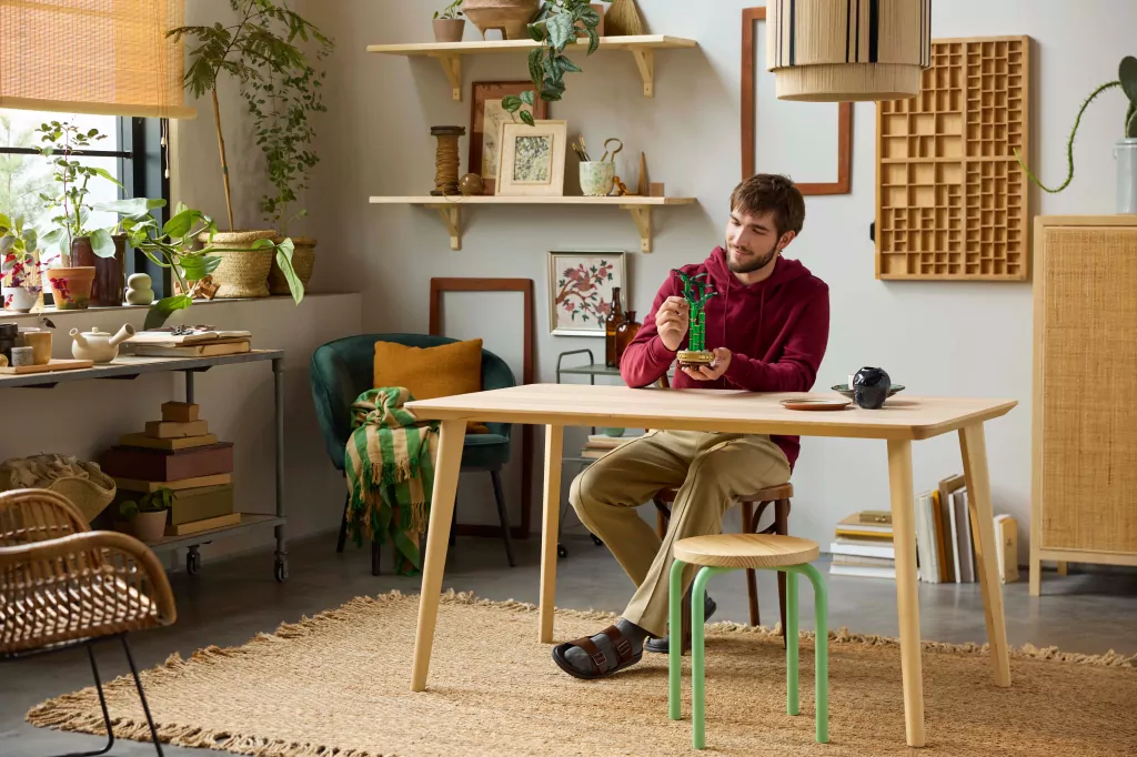 LEGO® Dracena sandera 10344 - tantis.pl