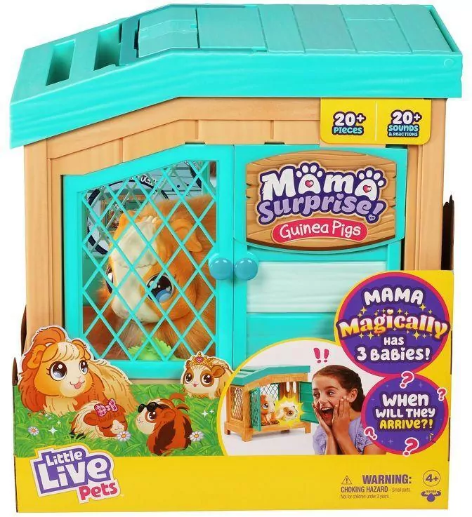 Świnka morska. Little Live Pets - tantis.pl