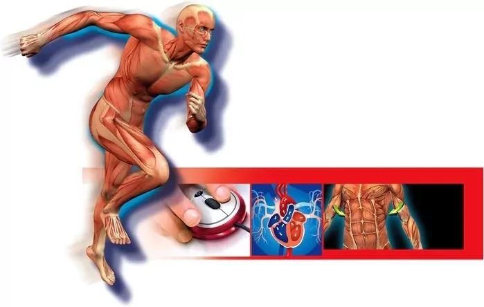 Ciało ludzkie. Naukowa zabawa. 60249 - tantis.pl