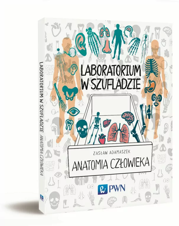 Laboratorium w szufladzie. Anatomia człowieka - tantis.pl