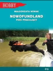 Nowofundlad. Pies pracujący
