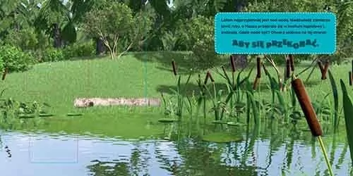 4 pory roku. Masza i Niedźwiedź - tantis.pl