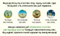 Kurnik 2 – Cztery pory roku - tantis.pl