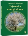 Tajemnice energii drzew - tantis.pl