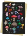 Karnet B6 Grzyby Anna Stead - tantis.pl