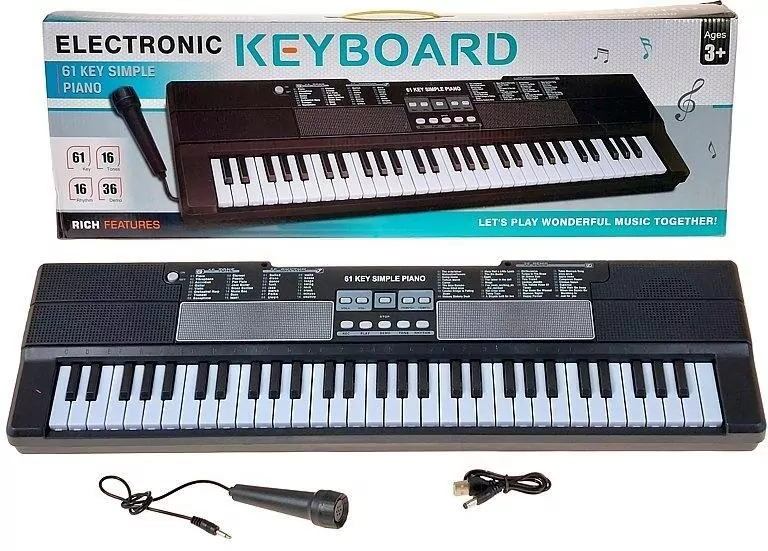 Organki 61 klawiszy z mikrofonem i kablem USB - tantis.pl
