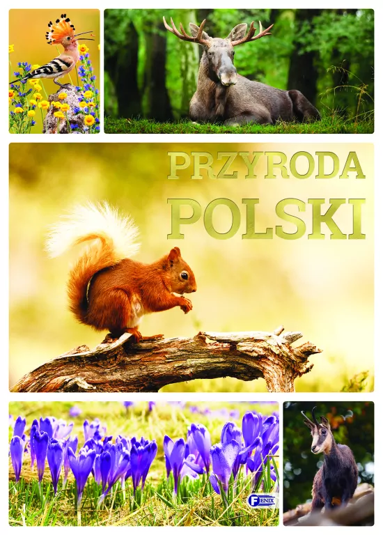 Przyroda Polski - tantis.pl