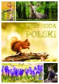 Przyroda Polski - tantis.pl