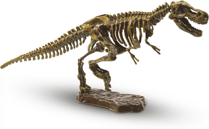 Mały Archeolog-Wykopaliska T-Rex - tantis.pl