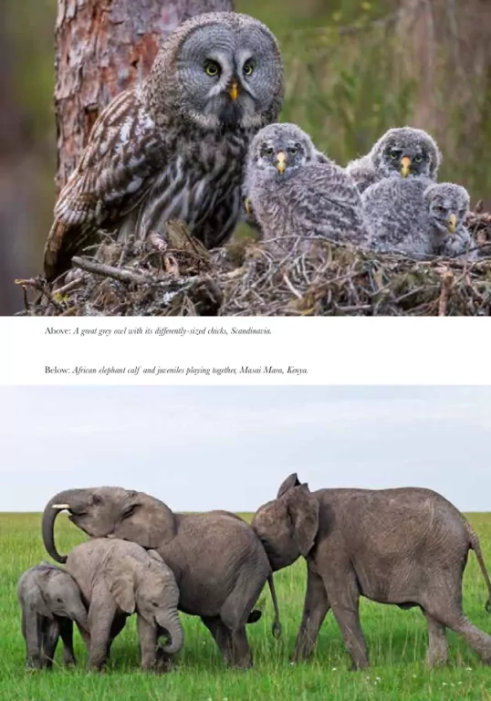 Na ścieżkach życia - tantis.pl