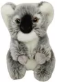 Koala siedząca 28cm - tantis.pl