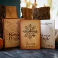 Karty tarot Norse Magic Cartamundi - tantis.pl