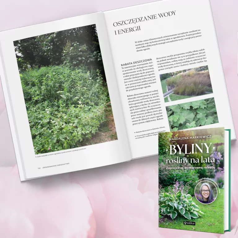 Byliny: rośliny na lata. Zaprojektuj wymarzoną rabatę - tantis.pl