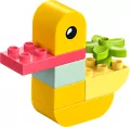 LEGO® Duplo. Moja pierwsza kaczuszka 30673 - tantis.pl