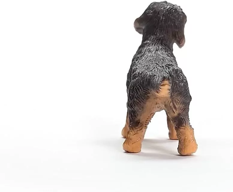 Jamnik szorstkowłosy - tantis.pl