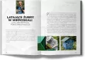 Nieoczywiste okolice Warszawy - tantis.pl
