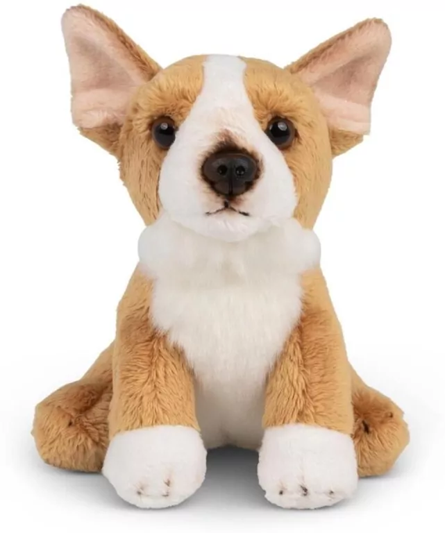 Animigos World of Nature mini corgi - tantis.pl