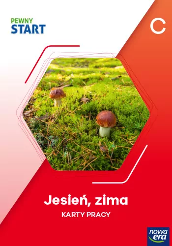Pewny start. Poziom C. Jesień, zima KP - tantis.pl