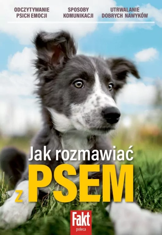 Jak rozmawiać z psem - tantis.pl