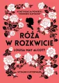Róża w rozkwicie - tantis.pl