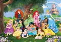 Puzzle 104. Super Kolor. Disney Princess. 25743 - tantis.pl