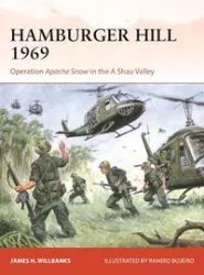 Campaign 409 Hamburger Hill 1969