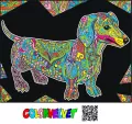 Kolorowanka welwetowa 47x35cm Jamnik - tantis.pl