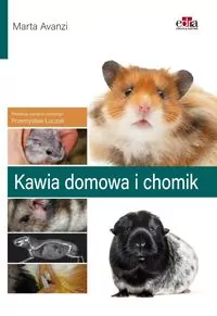 Kawia domowa i chomik - tantis.pl