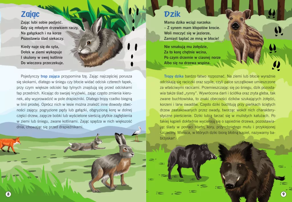 Moja przyroda. Ślady zwierząt - tantis.pl