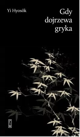 Gdy dojrzewa gryka - tantis.pl